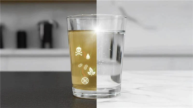 How to Choose the Best Kitchen Water Filter for Your Home