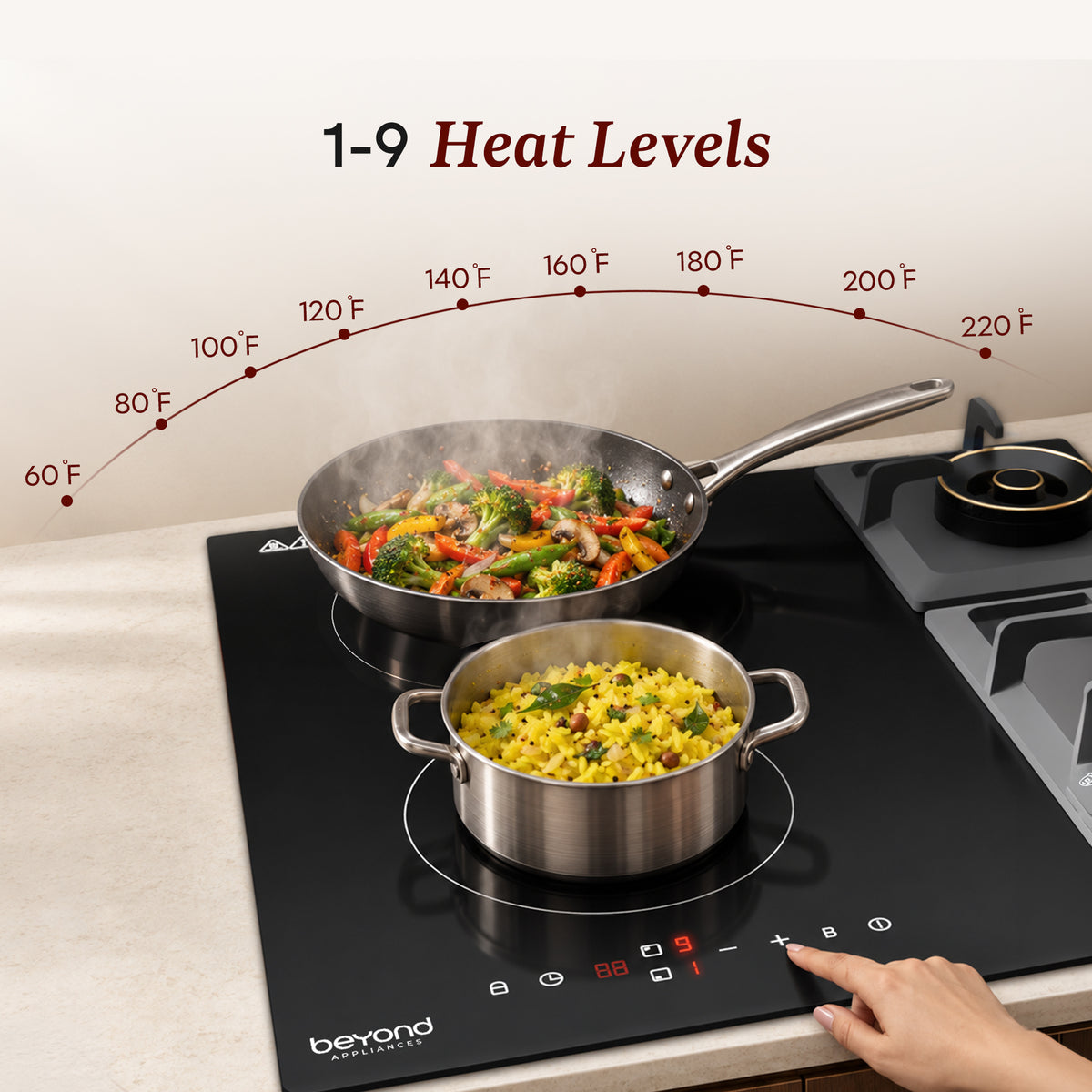 Duet Hybrid Hob